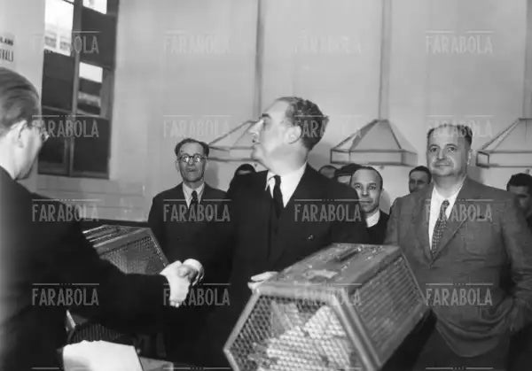 Elezioni amministrative a Saronno, 1947