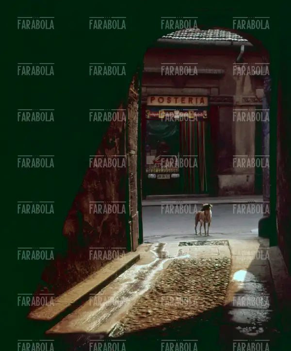 Portico in via Scaldasole, Milano, anni 50