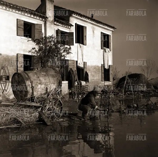 Resti di una casa, Alluvione del Polesine, Rovigo, 1951