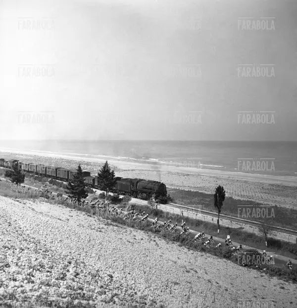 I corridori passano accanto a un treno, Giro d'Italia, 1953