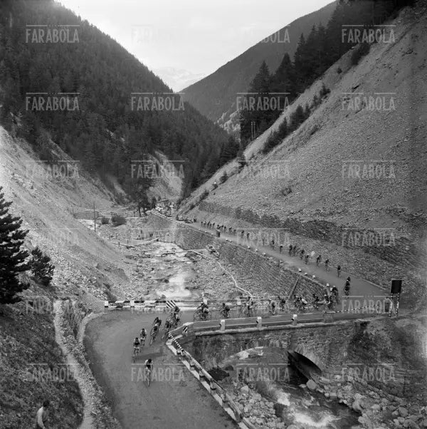 I ciclisti al Passo dello Stelvio, Giro d'Italia, 1953