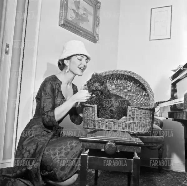Maria Callas in casa con il suo cane, Milano, 1957