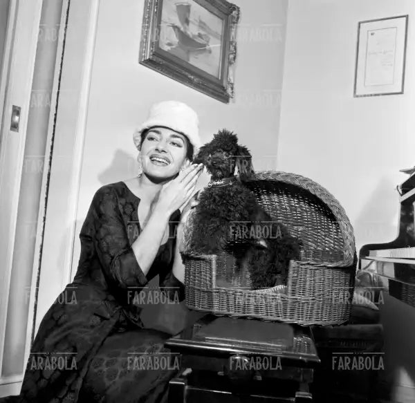 Maria Callas in casa con il suo cane, Milano, 1957