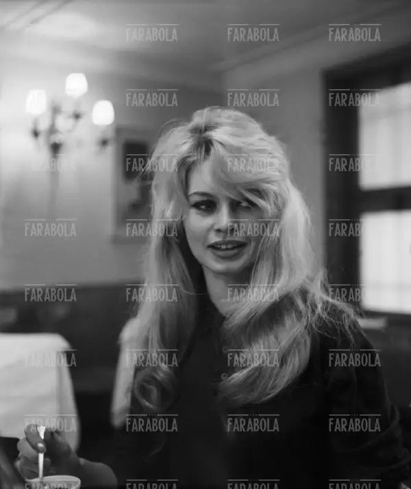 Brigitte Bardot, Venezia, 1958
