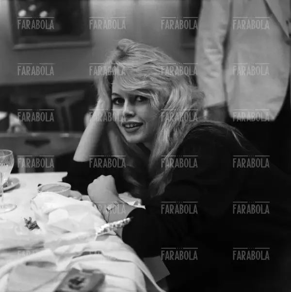 Brigitte Bardot, Venezia, 1958