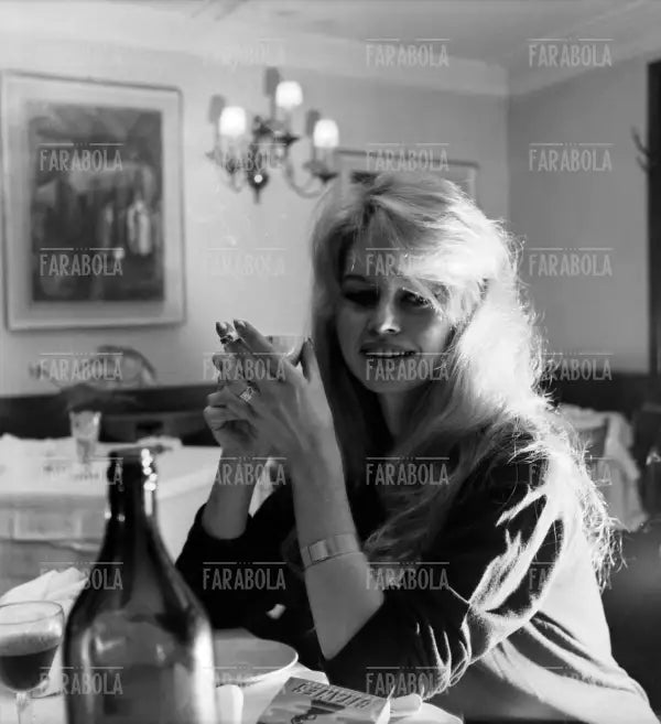 Brigitte Bardot, Venezia, 1958