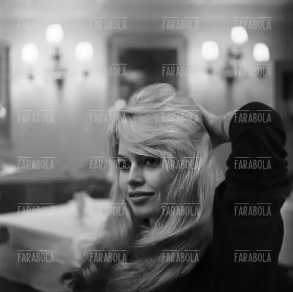 Brigitte Bardot, Venezia, 1958