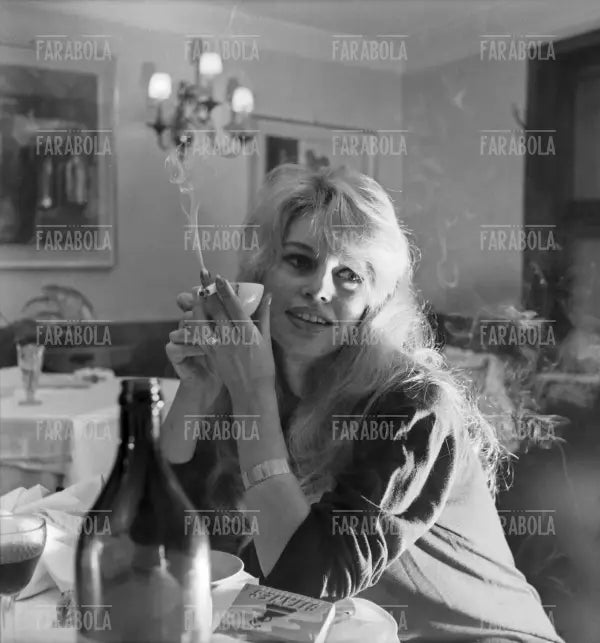Brigitte Bardot, Venezia, 1958