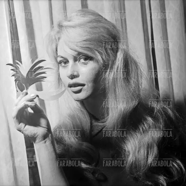 Brigitte Bardot, Venezia, 1958