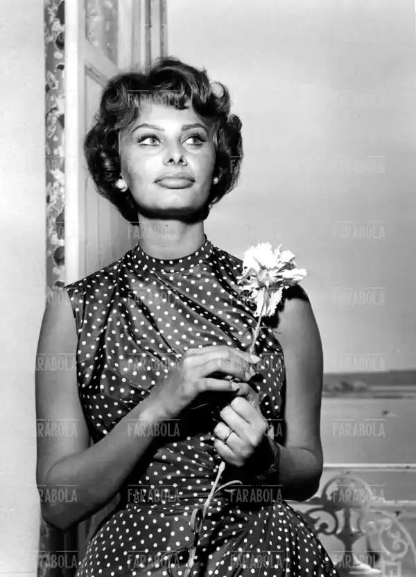 Sophia Loren, Festival di Cannes, 1958