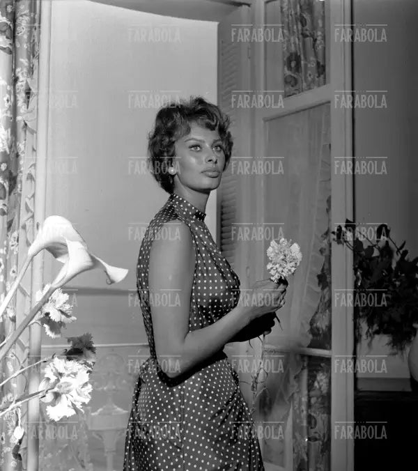 Sophia Loren, Festival di Cannes, 1958