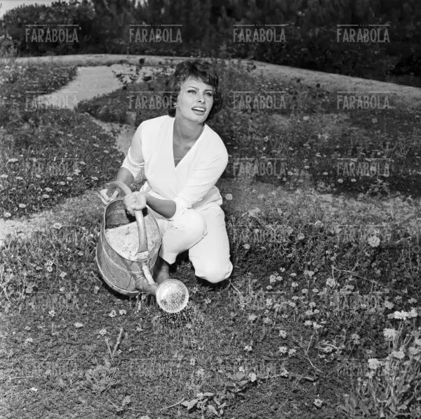 Sophia Loren in vacanza, Saint-Tropez, 1958