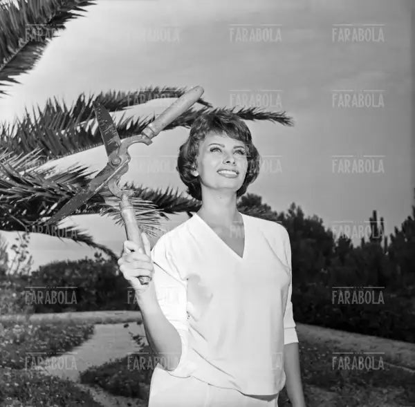 Sophia Loren in vacanza, Saint-Tropez, 1958