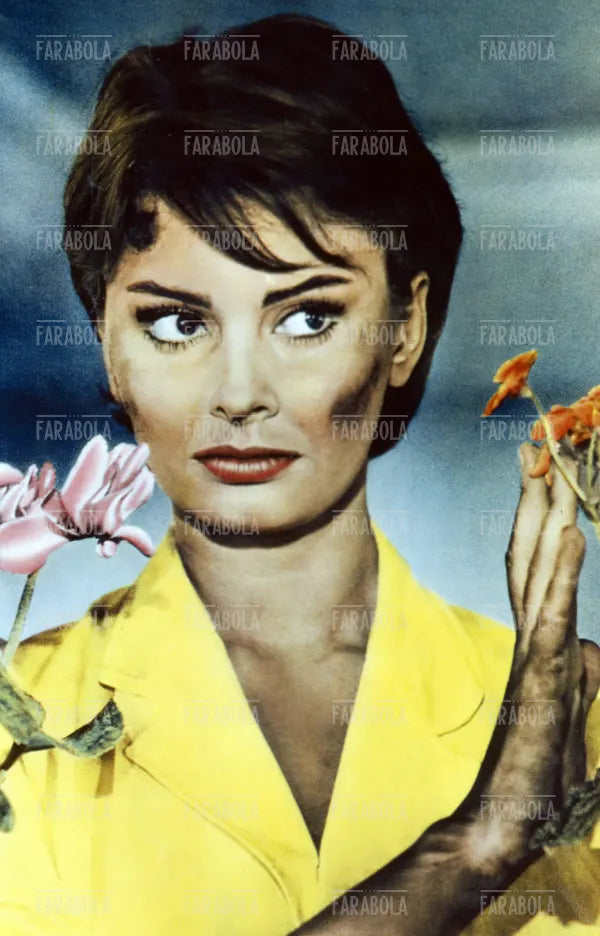 Sophia Loren, Film La chiave, 1958