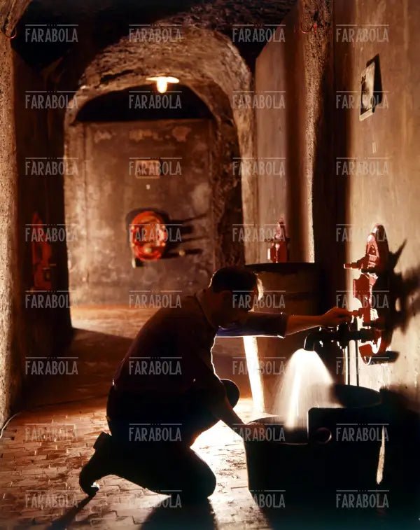 Invecchiamento del vino nella cantina Due Santi, Marino, anni 60