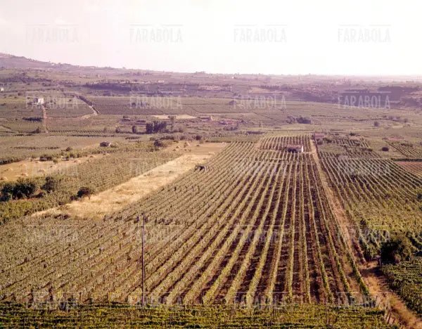 Panorama dei Castelli Romani, Lazio, anni 60