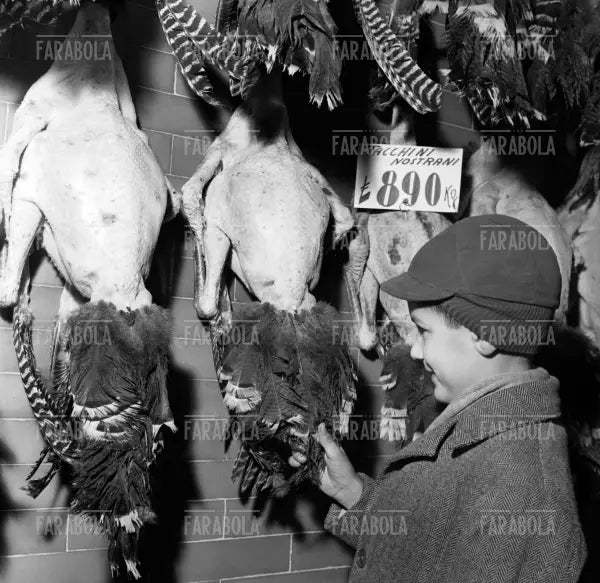 Polleria, Milano, 1961