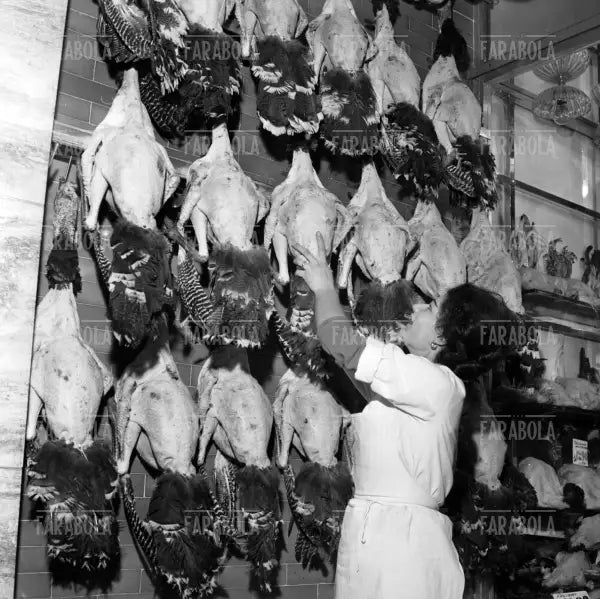 Polleria, Milano, 1961