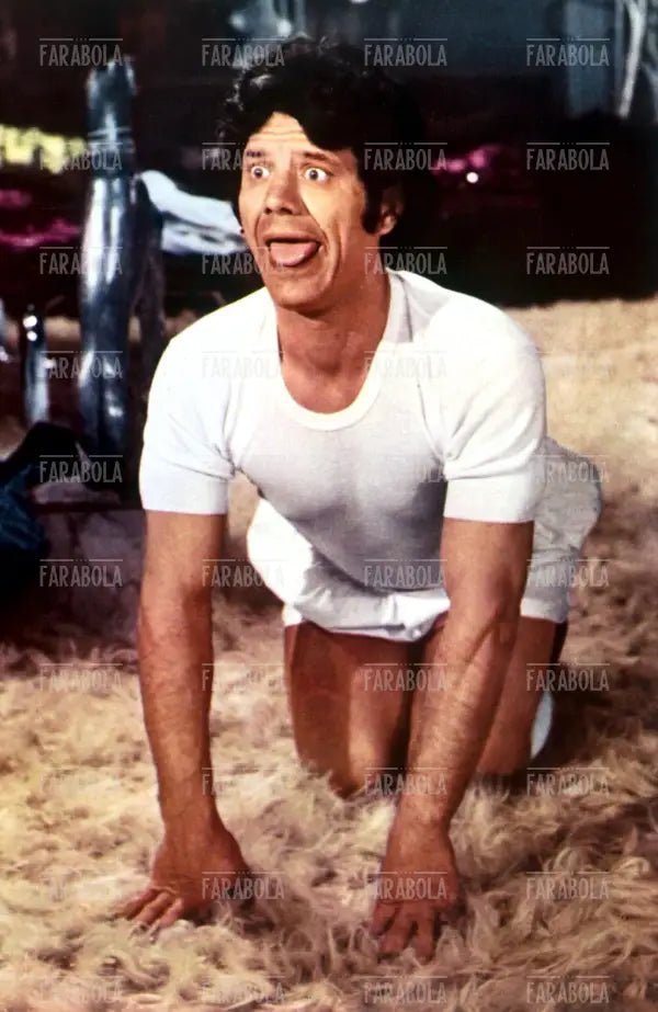 Franco Franchi, Film Paolo il freddo, 1974