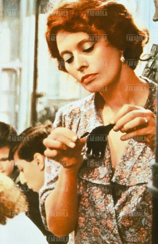 Sophia Loren, Film Una giornata particolare, 1977