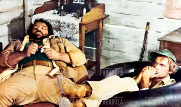 Bud Spencer und Terence Hill, Film Io sto con gli ippopotami, 1979