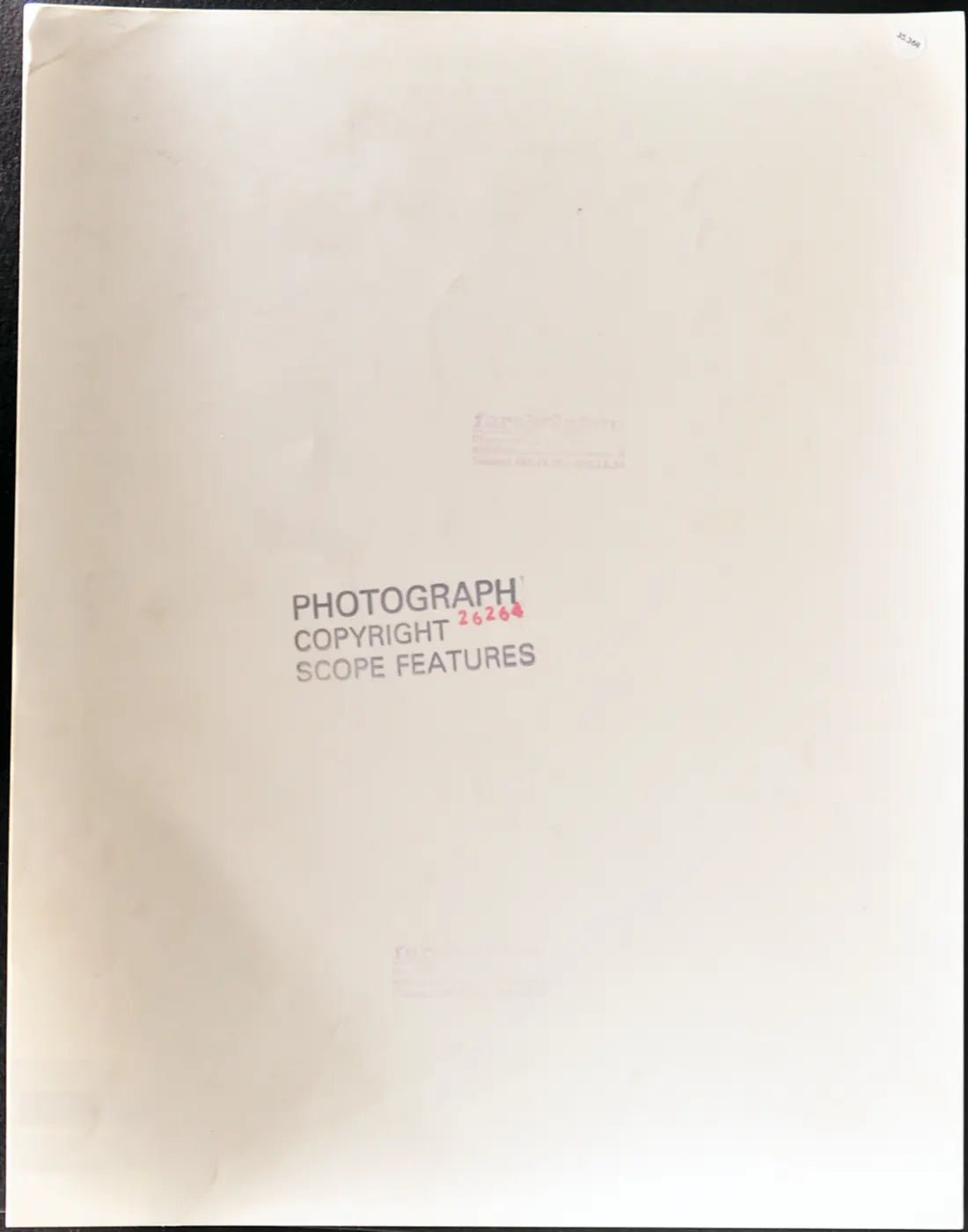 Agnello in una sacca Ft 35368 - Stampa 27x37 cm - Farabola Stampa ai sali d'argento