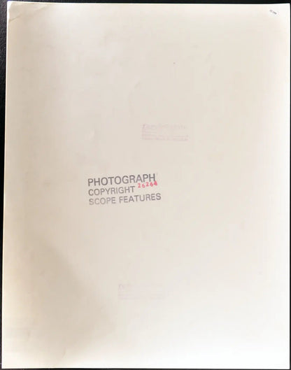 Agnello in una sacca Ft 35368 - Stampa 27x37 cm - Farabola Stampa ai sali d'argento