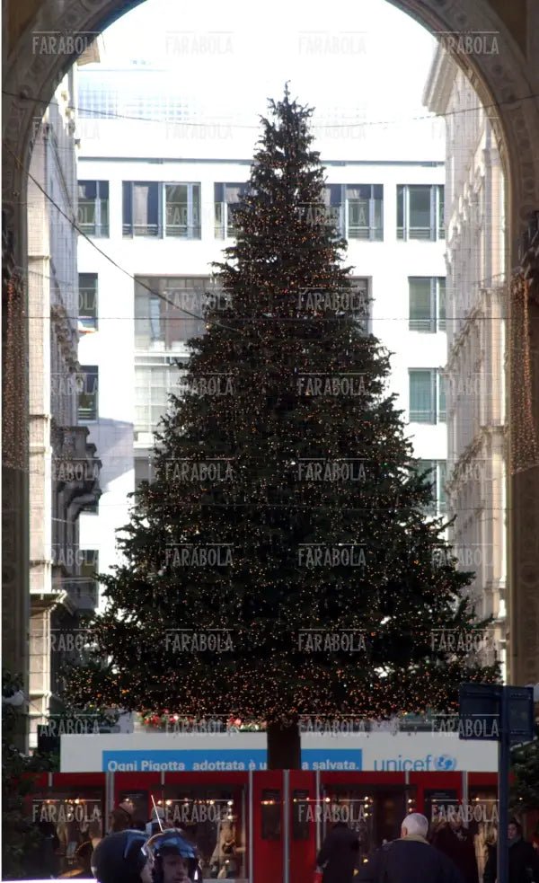Albero di Natale in Galleria Vittorio Emanuele II, Milano, 2003 - Farabola Immagine digitale