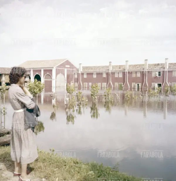Allagamenti nel Polesine, 1957 - Farabola Immagine digitale