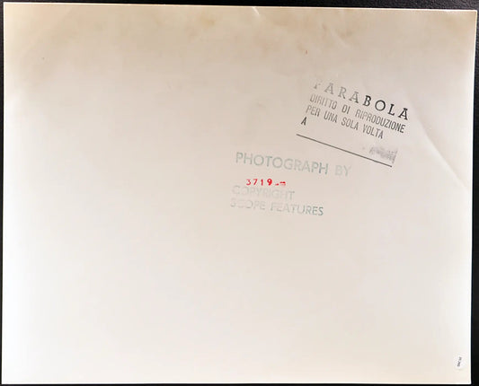 Beagle Università della California Ft 35393 - Stampa 30x40 cm - Farabola Stampa ai sali d'argento