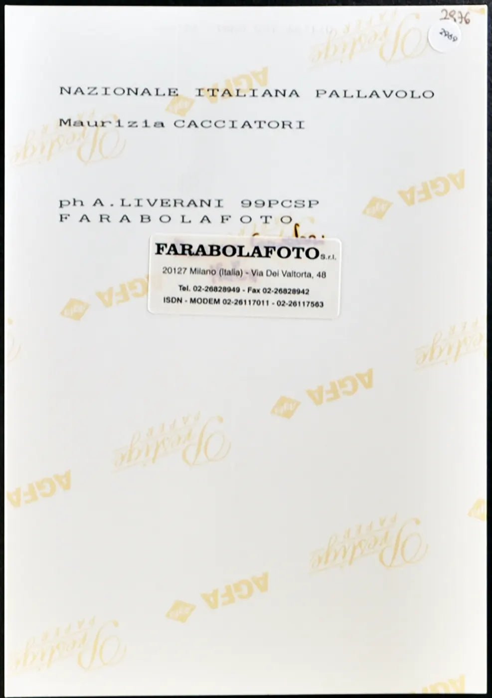 Cacciatori Nazionale Pallavolo 1999 Ft 2969 - Stampa 20x15 cm - Farabola Stampa ai sali d'argento