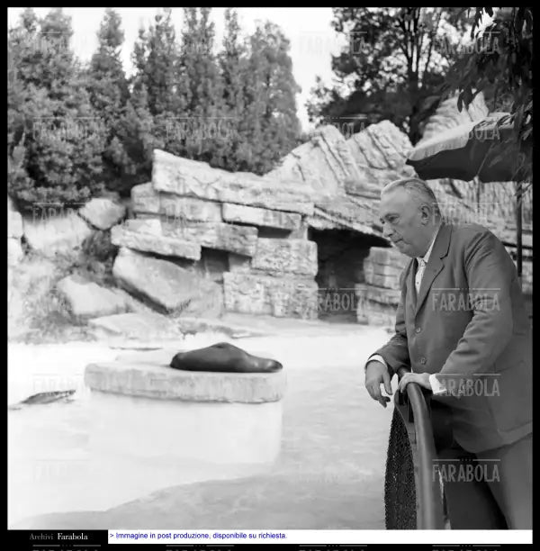 Carlo Emilio Gadda allo zoo, Roma, 1960 - Farabola Immagine digitale