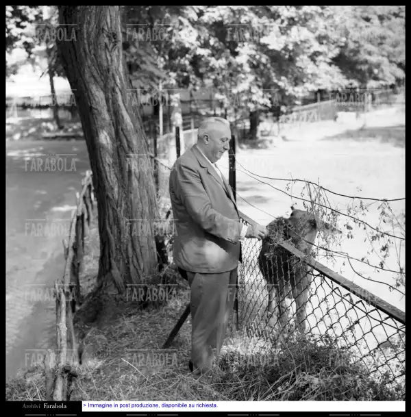 Carlo Emilio Gadda allo zoo, Roma, 1960 - Farabola Immagine digitale