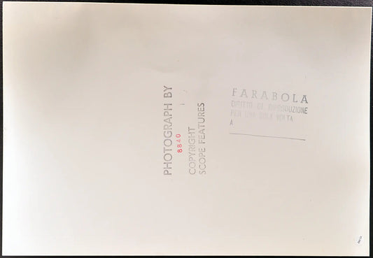 Chic Summers Safari Park Laguna Hill Ft 35382 - Stampa 27x37 cm - Farabola Stampa ai sali d'argento