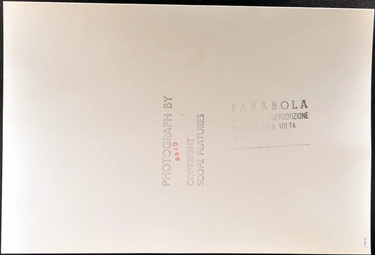 Chic Summers Safari Park Laguna Hill Ft 35384 - Stampa 27x37 cm - Farabola Stampa ai sali d'argento