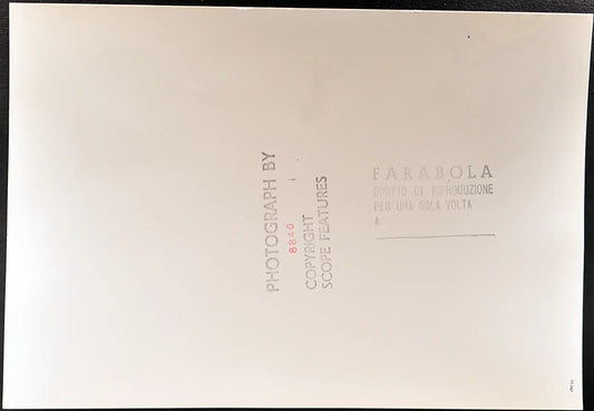 Chic Summers Safari Park Laguna Hill Ft 35387 - Stampa 24x37 cm - Farabola Stampa ai sali d'argento