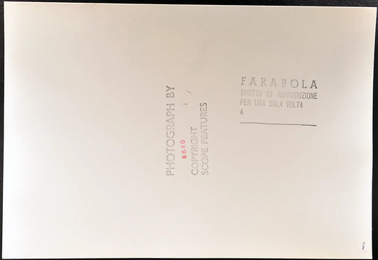 Chic Summers Safari Park Laguna Hill Ft 35388 - Stampa 24x37 cm - Farabola Stampa ai sali d'argento