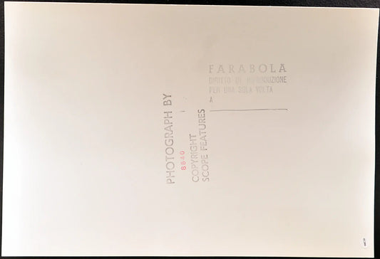 Chic Summers Safari Park Laguna Hill Ft 35389 - Stampa 24x37 cm - Farabola Stampa ai sali d'argento