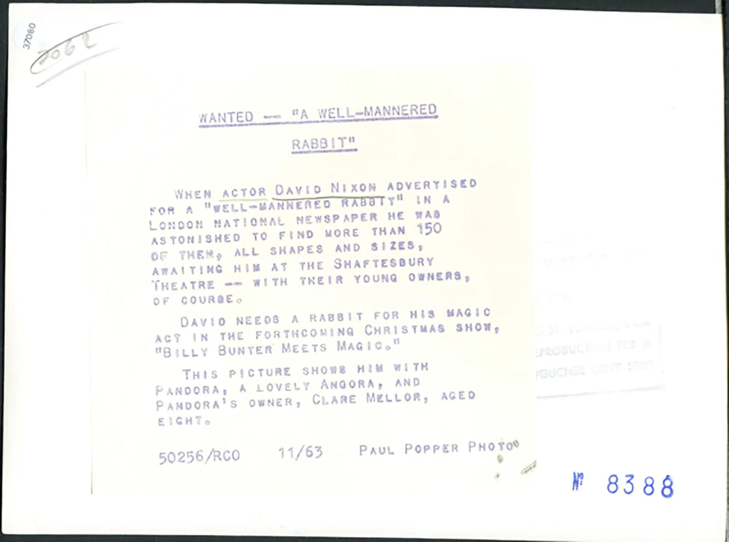 David Nixon con un coniglio 1963 Ft 37080 - Stampa 21x15 cm - Farabola Stampa ai sali d'argento