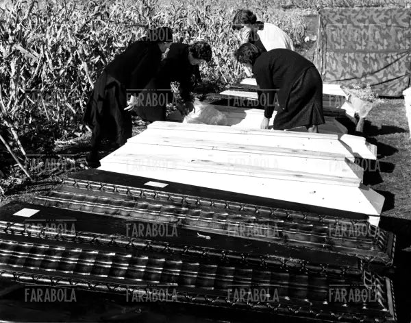 Disastro del Vajont, al nuovo cimitero di Fortona, 1963 - Farabola Immagine digitale