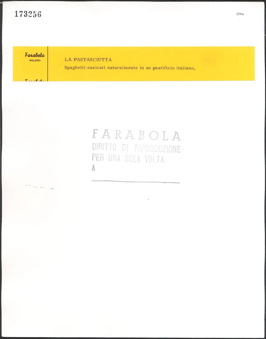 Essicatura degli spaghetti anni 50 Ft 37514 - Stampa 24x30 cm - Farabola Stampa ai sali d'argento