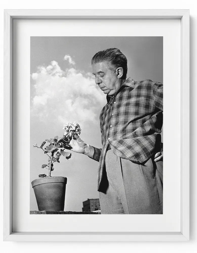 Eugenio Montale, 1956 - Farabola Fotografia