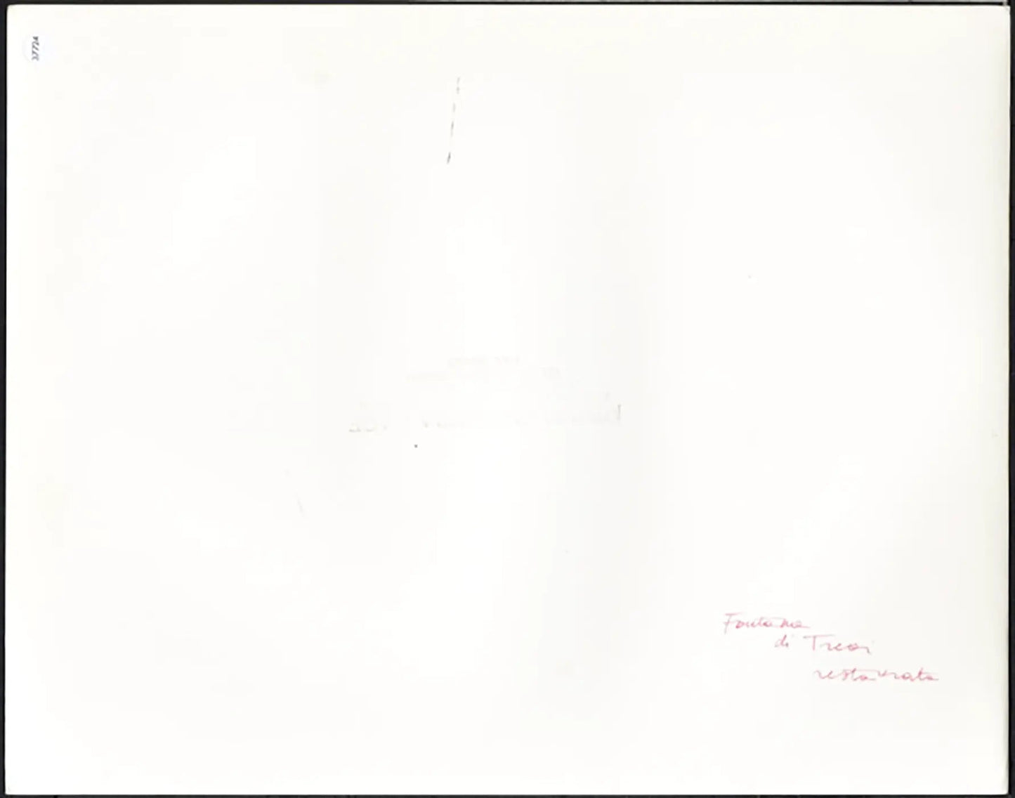 Fontana di Trevi Roma anni 90 Ft 37724 - Stampa 24x30 cm - Farabola Stampa ai sali d'argento