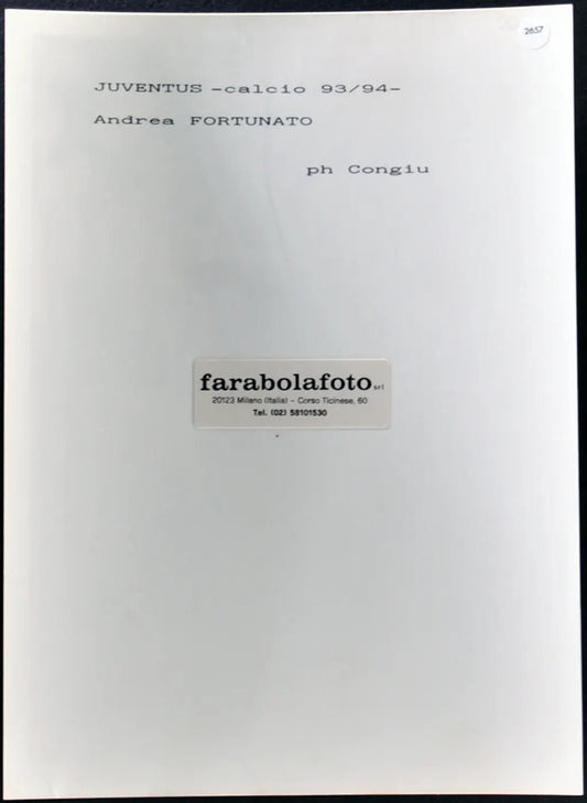 Fortunato Juventus 1993-1994 Ft 2657 - Stampa 24x18 cm - Farabola Stampa ai sali d'argento