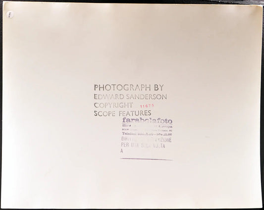 Gabbiano e corvo Ft 35410 - Stampa 30x34 cm - Farabola Stampa ai sali d'argento