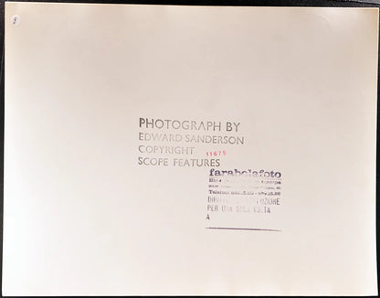 Gabbiano e corvo Ft 35411 - Stampa 30x34 cm - Farabola Stampa ai sali d'argento