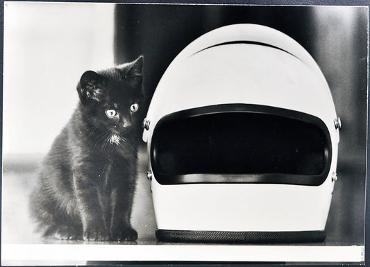 Gatto nero vicino a un casco Ft 35418 - Stampa 27x37 cm - Farabola Stampa ai sali d'argento