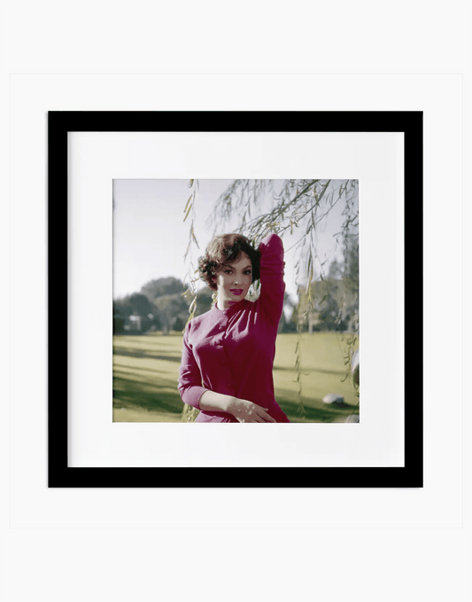 Gina Lollobrigida, 1955 - Farabola WhiteWall App Product