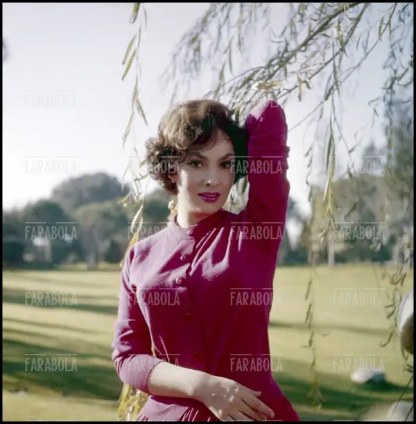 Gina Lollobrigida, anni 50 - Farabola Immagine digitale