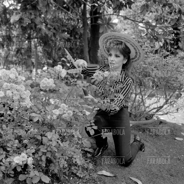 Gina Lollobrigida, Roma, 1967 - Farabola Immagine digitale
